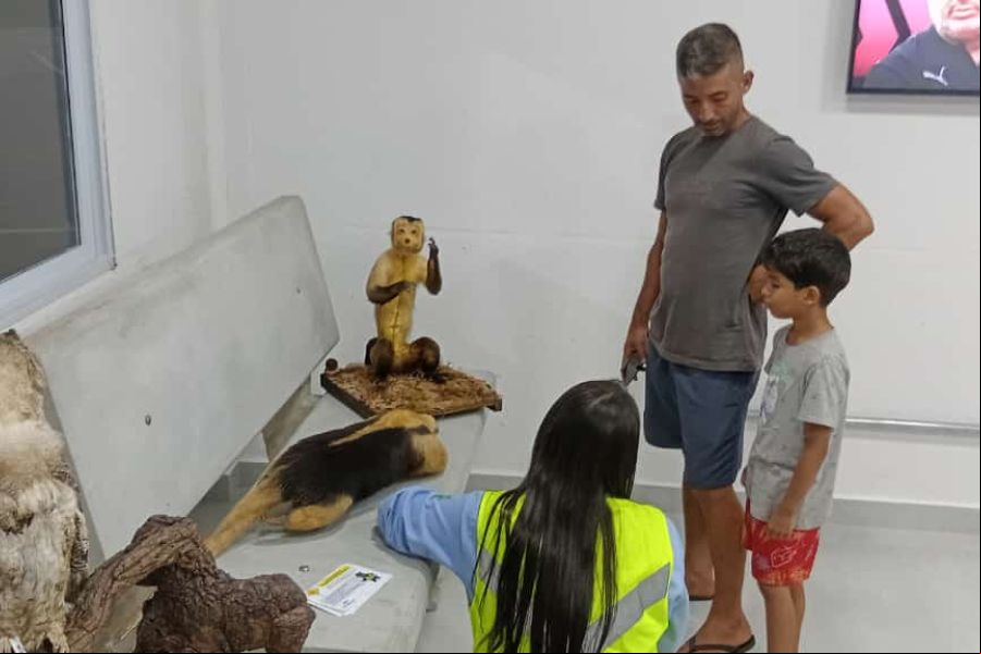 Foto Via Brasil BR-163 realiza Blitz de Fauna para conscientização sobre o atropelamento de animais